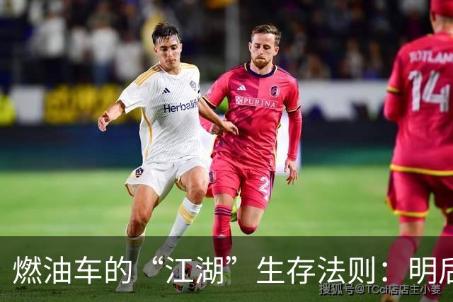 燃油车的“江湖”生存法则：明后年车主别犯这些错！